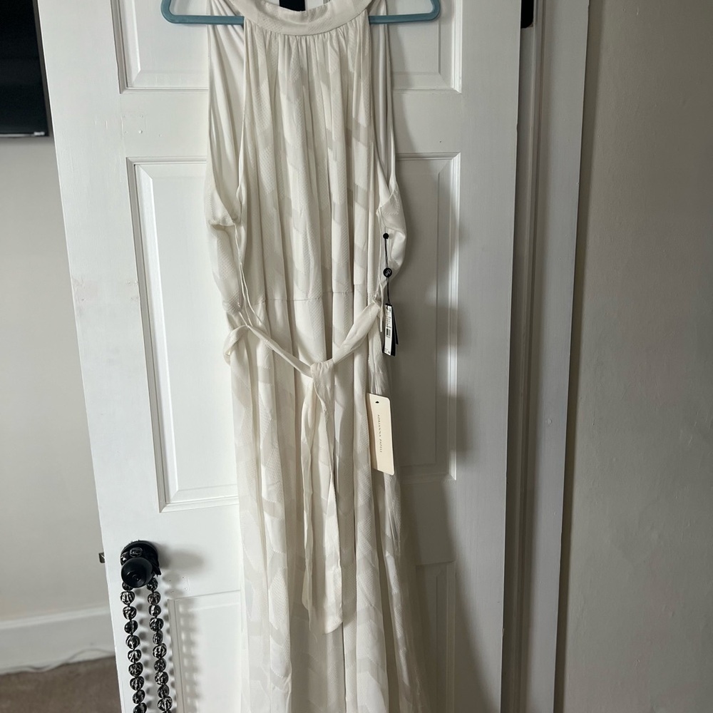 Adriana Papell plus size dress